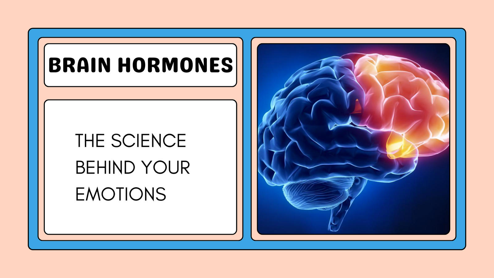 Brain Hormones | The Science Behind Your Emotions