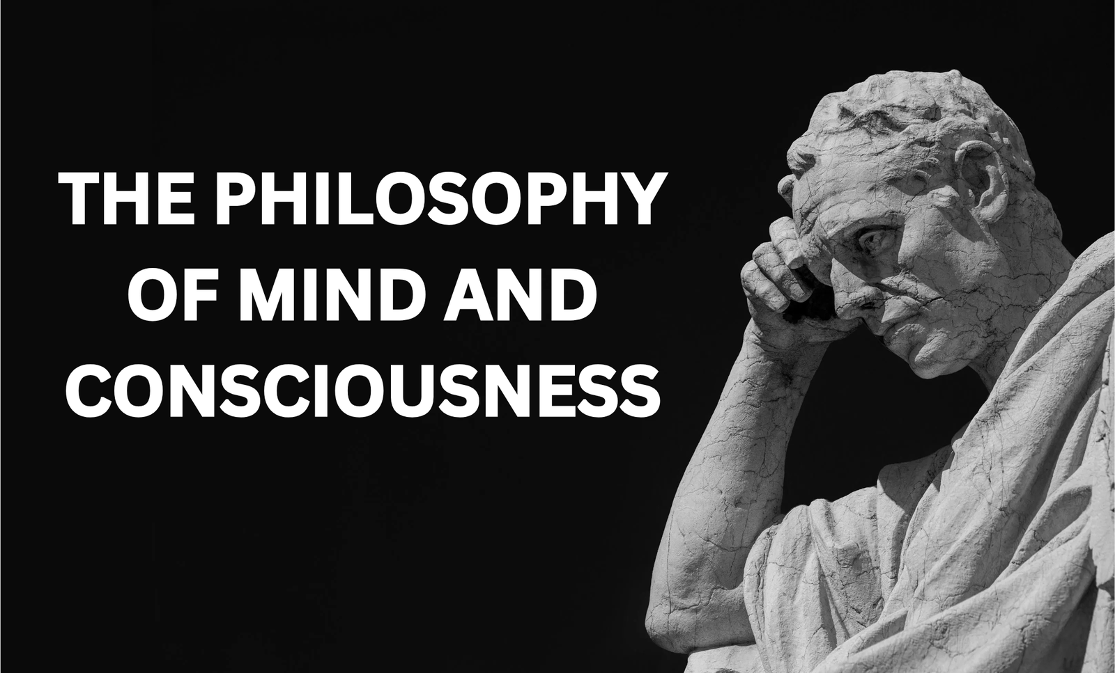 The Philosophy of Mind and Consciousness: