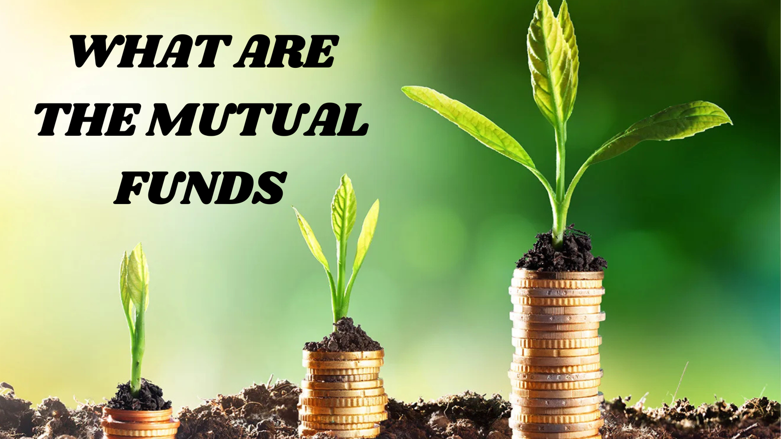 WHAT ARE THE MUTUAL FUNDS?