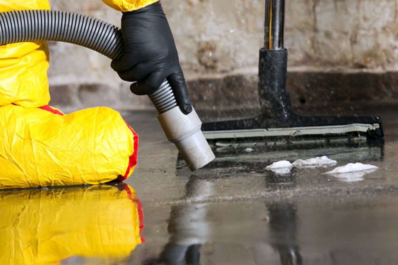 Expert Mold Removal Toronto Services for a Healthier Home